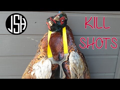 Slingshot Hunting clips some insane kill shots