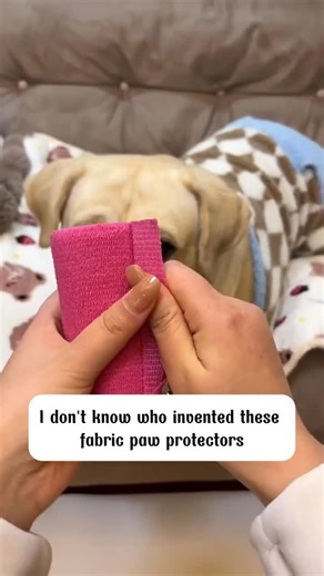 1.2M views · 14K reactions | Protect your dog | Lovely Furry Friends | Facebook