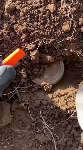 Metal Detector Finds Hidden Gold Treasure! 😱💰