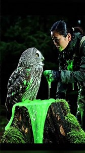 Peeling STICKY Green Slime off Owl! 😱 #shorts #owl #satisfying #rescue #animals #wildlife #viral