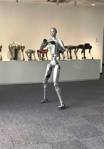 Unitree H2: The Future of Robot Boxing