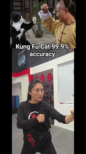 We got people imitating Al in the big 2026 #brainrot #meme #chinese #china #kungfu