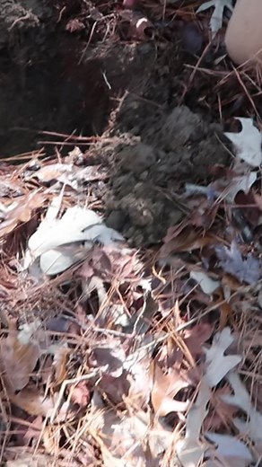 85K views · 1K reactions | Ross finds a signal way down in the ground! #deep #metaldetecting #history | Gone Diggin | Facebook