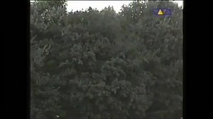 1.3M views · 34K reactions | Do you remember the first time you heard my music? Tell me where you were and how it made you feel. I’d love to read your stories. | Paul Van Dyk | Facebook