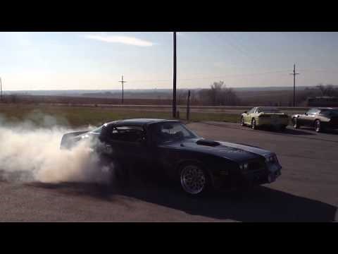 78 bandit Trans am burnout