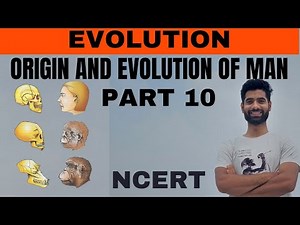 Origin and Evolution of Man || Part 10 || Evolution class 12th NCERT