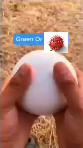 #rap #coems #avatarify #meme #coems🤑 #womanface #breadface #manface #robloxface #robloxfaces #omega #omeganugget #liltay #liltayreal #funnyvideos #omegameme #rambutan