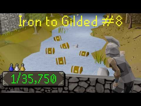 Never expected this. 500 Clue Caskets! Iron to Gilded #8
