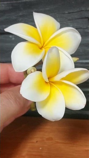 Art Idea. How to draw Plumeria flowers.