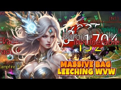 Catalyst GW2 WvW Big FIghts Pug Massive Bag Leeching! 2025