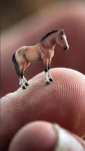 "Funny Horses Fails & Hilarious Horse Moments | Cute & Weird Horses #Shorts" #animalcompilation