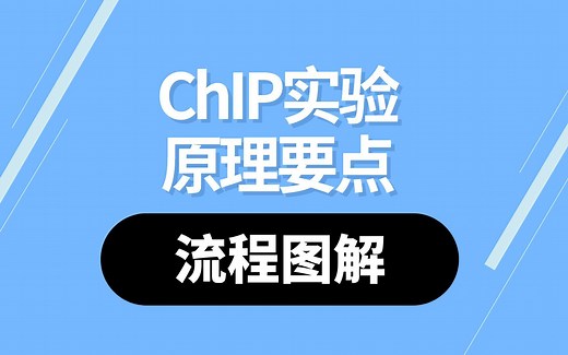 ChIP实验操作和实验原理的视频演示