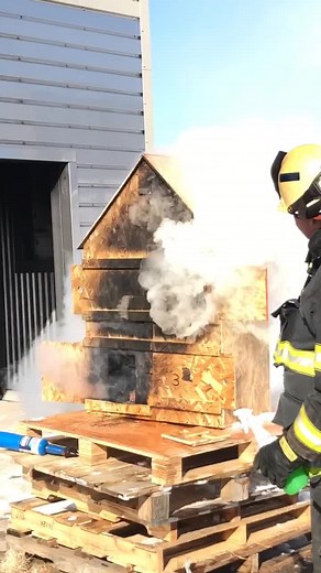 dominic pingel on TikTok