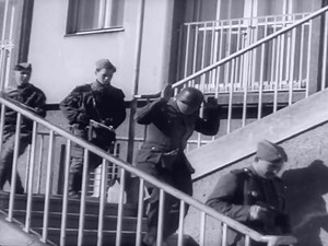 Вена [Vienna]  (1945)