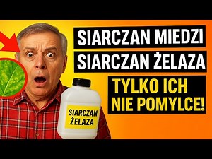 Siarczan miedzi – bezlitosny pogromca grzybów. Siarczan żelaza – wybawca roślin przed chlorozą. Tyl