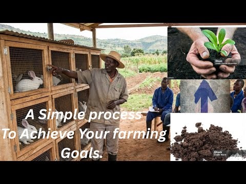 The Rabbit that changed Everything In Small Scale Farm, For A Profitable Crops Grow That Makes Money