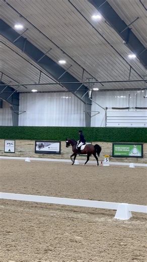 Part of Nova and Monica’s class. Third Level Test 3. #shn2025 #arabianhorse | Mystic Rose Arabians