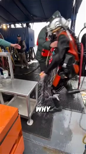33K views · 315 reactions | Why do they quickly take off a diver’s suit? | BrightFacts | Facebook