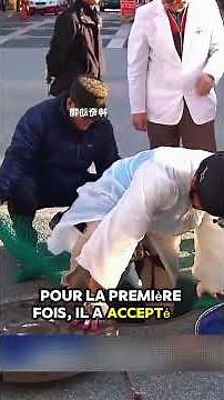 The cat survived for months in a drainpipe before finally being rescued. #catrescue #cat