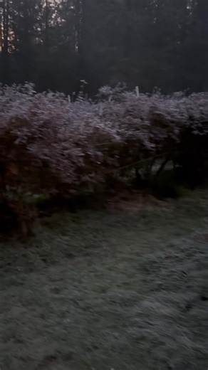 1/25/26 Farm Store Open Daily 9-6 Our farm store is open 365 days a year! Farming doesn’t stop, the milk always flows, so we are open 😉 📍785 Plumtree Ln. GP Do you want to know when we have extra milk, details about blueberry season, new items, or just check to see if something is available?!? Be sure to FOLLOW our page to get all of the important updates! I normally share to many groups in the area, but not as often as I update here on our page, so if you wanna stay in the loop, follow our pa