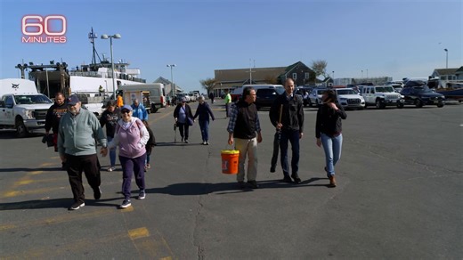 69K views · 1K reactions | If regulators give the green light, scientists will first release a small batch of genetically engineered mice on a private island to see if they can help curb Lyme disease — without disrupting the ecosystem. https://cbsn.ws/3IyOqv1 | 60 Minutes | Facebook