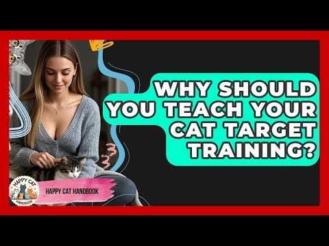 Why Should You Teach Your Cat Target Training? - Happy Cat Handbook