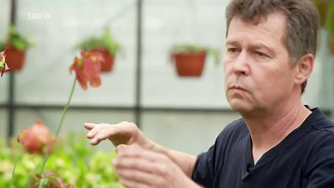 natürlich!: Die Faszination der fleischfressenden Pflanzen