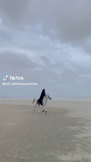 Join Our Ladies Equestrian Community in Kuantan