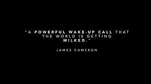 Young activist, Chris Huriwai, takes on the giants of New Zealand’s...