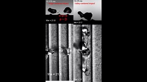 12 reactions | Water drop (diameter D) impacting onto the tip of the...