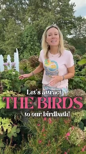 How do you clean your birdbath? 🌸 Vinegar is a great natural cleaning agent for your birdbath…and is safe for your birds. I always make sure I rinse well after cleaning. And I don’t dump straight vinegar into my soil. Instead, I water it down considerably before dumping. 🩷🩷🩷 And how cute is Emmy Faye? 🥰 Candice, her mother, comes to help me with filming and Emmy Faye tags along. She wanted to help me clean and added all the fun and cuteness to this task! So recruit a little helper if you ne