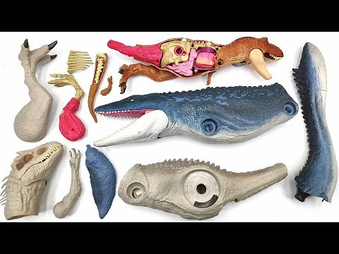 3 Dinosaur Anatomy Set! With Hunter. T-Rex, Mosasaurus, Indominus