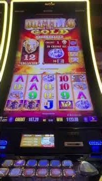 PART 2 WHY WE PLAY BUFFALO GOLD SLOT #2025 #4k