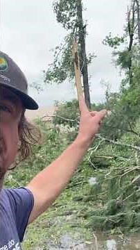 SEE the sandpapering effect of trees in this violent #tornado damage path?