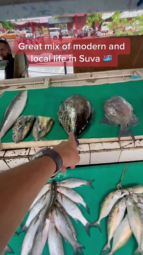 Exploring Modern and Local Life in Suva, Fiji