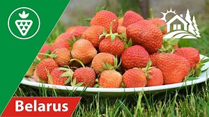 Country Life in Belarus - La Vie Zine