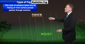 Different Types of fog and stopping distance