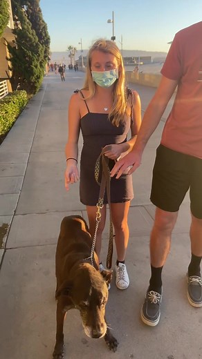 Meet Floofer: The Adorable Dog with a Memorable Shlong