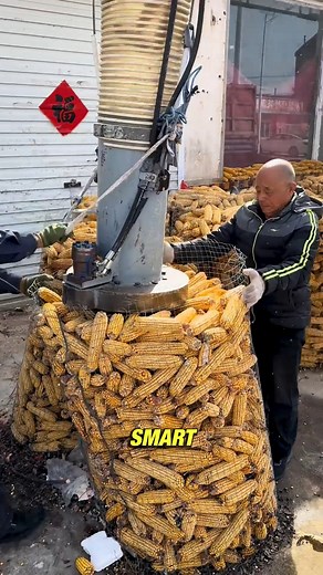 101K views · 569 reactions | Corn Thresher at Work – Farming Made Easy  #FarmingTech #SmartAgriculture #CornThresher #ModernFarming | Production Pulse | Facebook