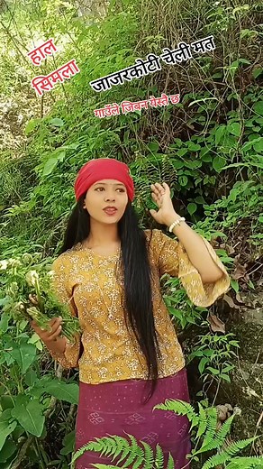 218K views · 14K reactions | ❤️ | Sandhya Khadka | Facebook