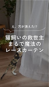 猫と暮らすならコレ一択！ 破れないレースカーテンの秘密 猫がカーテンに爪を引っかけてボロボロ… 猫ちゃんとの暮らしのあるあるのお悩みですよね。 今回は話題のペット専用レースカーテン『リストア』のご紹介です。 猫ちゃんがレースに穴をあけても、縦横斜めに引っ張ることで元通りに修復できるんです。 セルフリペアの秘密は交差織りで作られたネット構造と弾力のある糸！ 特殊な織り方と糸で伸縮性を持たせているので縦横斜めに引っ張ることで元の形状に戻ります。 もうカーテン選びで悩まない、猫ちゃん好きのあなたへのお守りカーテンです♪ 綿ネップ風のナチュラルで柔らかな質感のある天然素材風レースカーテンです。 【ご注意】 セルフリペアは猫のひっかき等によるカーテンの破損が一切生じないことを保証するものではありません。糸の断線、断裂により修復ができなくなる場合もございます。 ＃カーテンズ ＃カーテン ＃レースカーテン ＃猫 ＃セルフリペア ＃自己修復カーテン ＃天然素材風カーテン ＃ナチュラル #インテリア # | ファッショナブルカーテン通販 Curtains