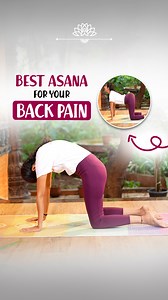 4.8K views · 88 reactions | Perfect your Cat-Cow Posture (Marjaryasana-Bitilasana) with our step-by-step guide! This dynamic sequence warms up and flexes the spine, enhancing flexibility and posture. Perfect for relieving stress, improving back strength, and easing discomfort. #theyogainstitute #catcowpose #flexibility #spinehealth #yogaasana #backpainrelief #backpainexercises #relievingstress | The Yoga Institute | Facebook