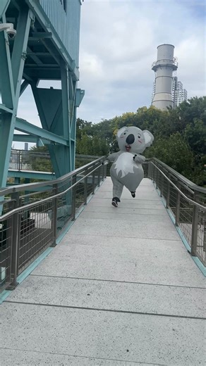 2.1K views | Me: Trying to run away from my timeshare problems. | KOALA | Facebook