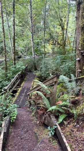 119K views · 1.2K reactions | The salmon run is in full swing and...