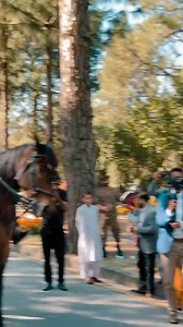 181K views · 7.4K reactions | Dikhao apna jalwa staff 藍 | Pakistani soldiers | Facebook