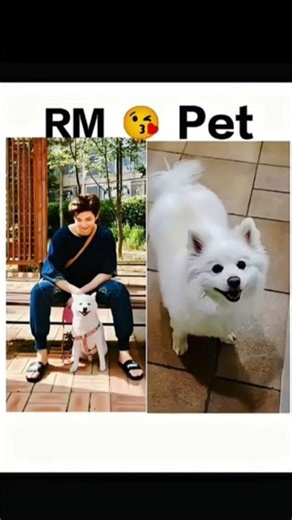 Why BTS & BLACKPINK Fans Are Fighting (Documentary)