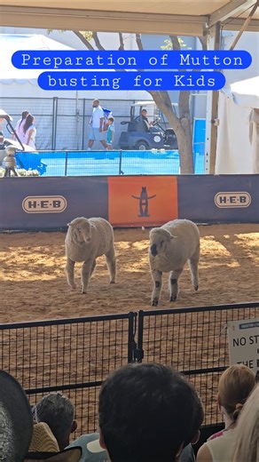 Mutton Busting for Kids - Houston Rodeo 2026