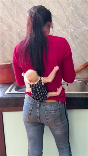 Adorable cute little baby monkey loving with Mummy #foryoupage❤️❤️ #videoviral #babymonkey #viral #monkey