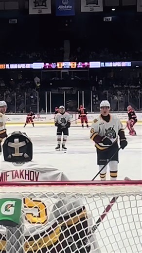 the ✨beauty✨ of hockey