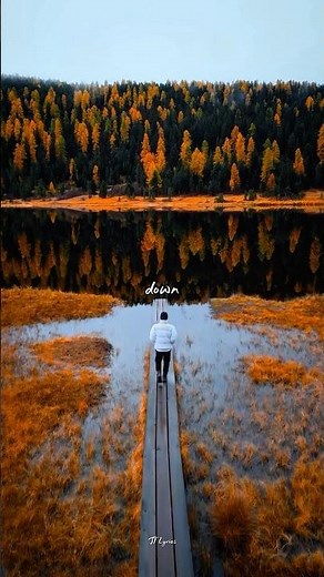 Runaway - Aurora | Lyrics | Aesthetic | English Songs #lyrics #shorts 🎶✨